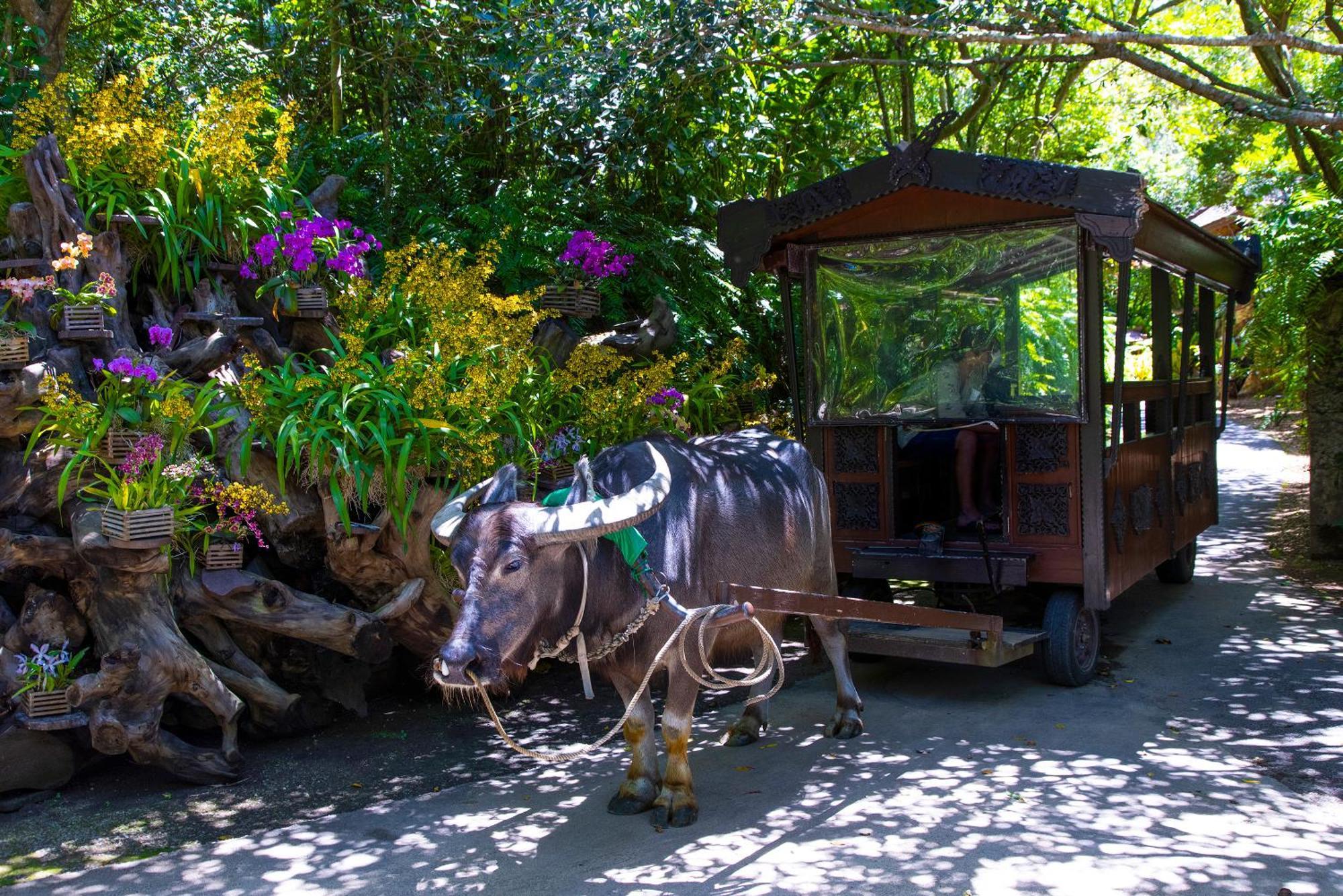 Villa 新規オープン サウナ Bbq ジャグジー付き 最大7名 無料駐車場4台 ビーチまで車で5分 Sky House Uruma Exterior foto